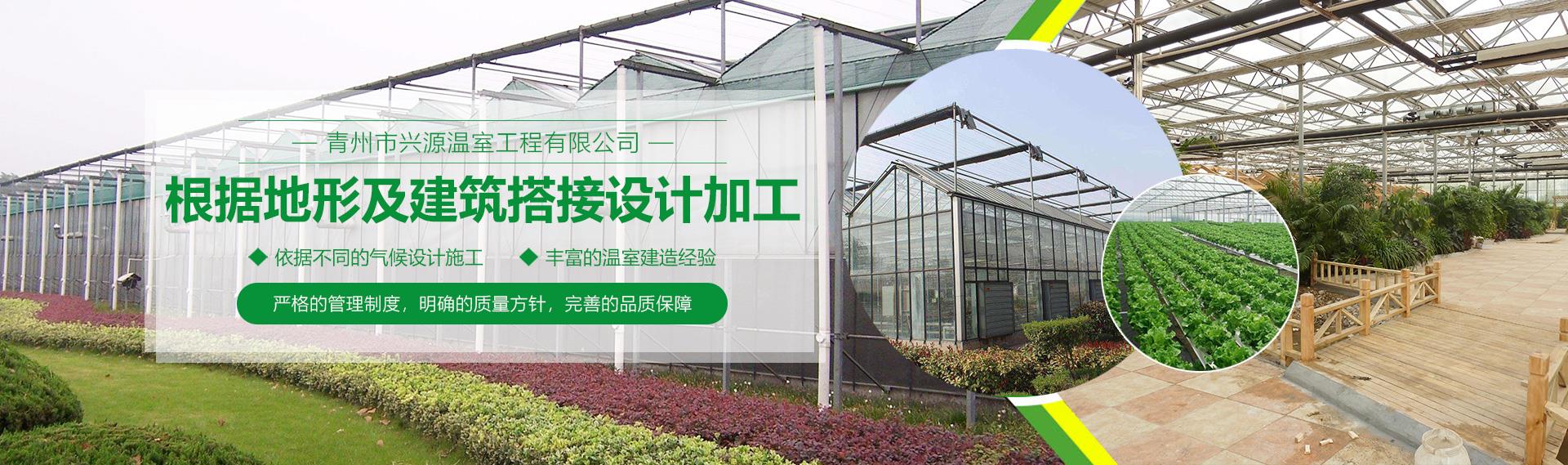 公司好色先生污版APP下载